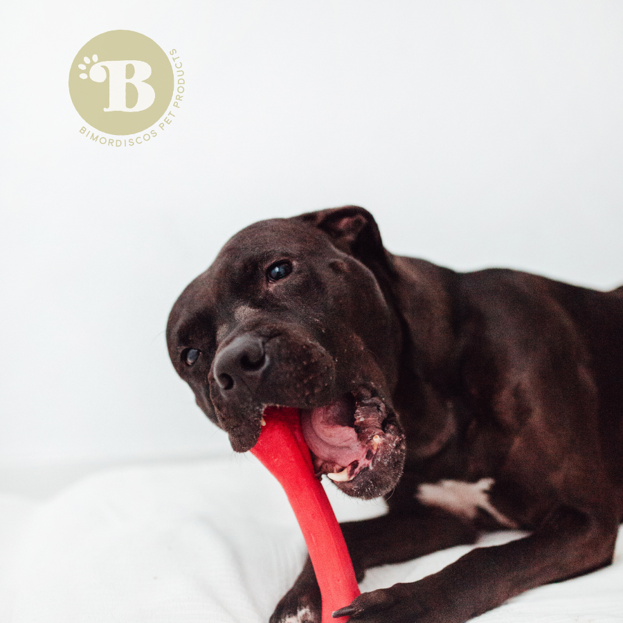 BIMORDISCOS Hueso para perros ELASTIC BONE, , large Imagen numero 6